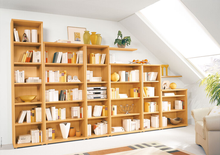 Regal Point Typ 54 Buche-Dekor 52x219,7x37,2 cm