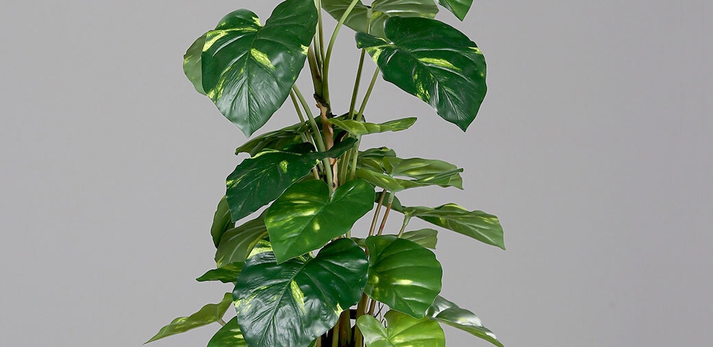 Kunstblume Pothos im schwarzen Topf 82 cm grün