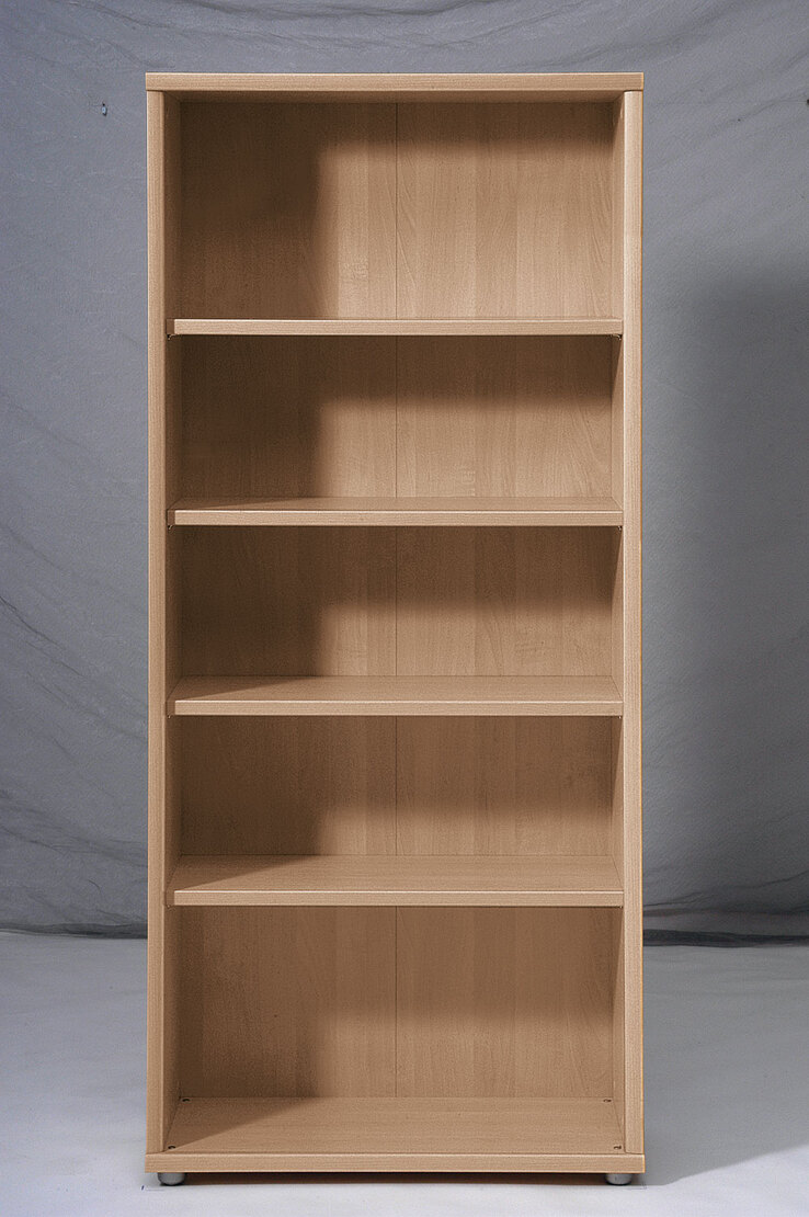 Regal Point Typ 83 Buche-Dekor 80x184,5x37,2 cm