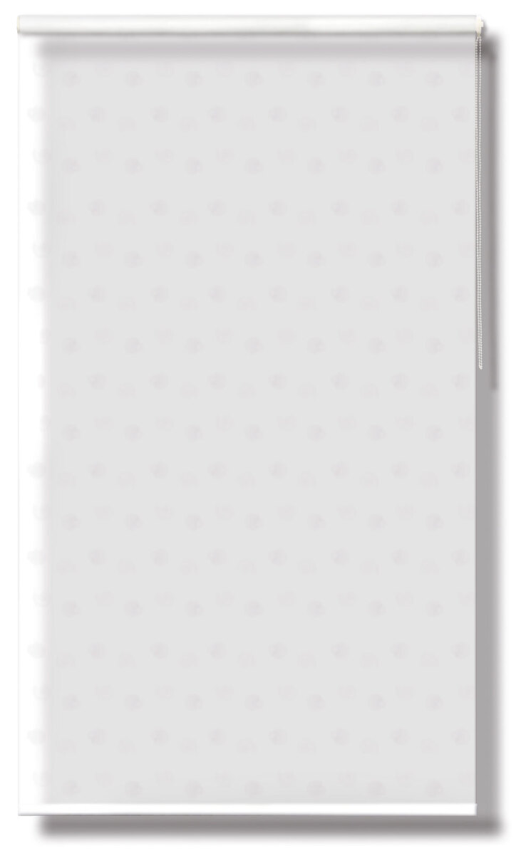 Duschrollo Hawaii 140 x 200 cm transparent/klar
