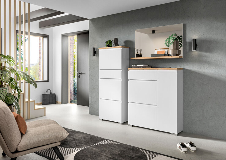 KENNEL & SCHMENGER® | ZAP
