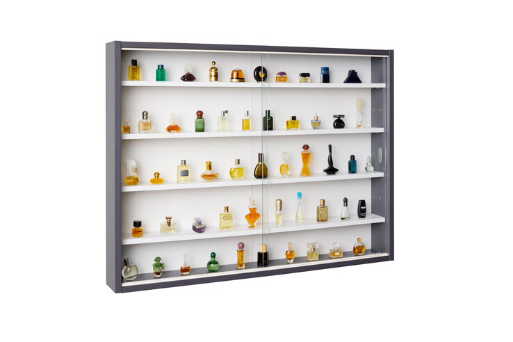 Sammlervitrine Hendrik Grau/Weiß 80x60x9,5 cm