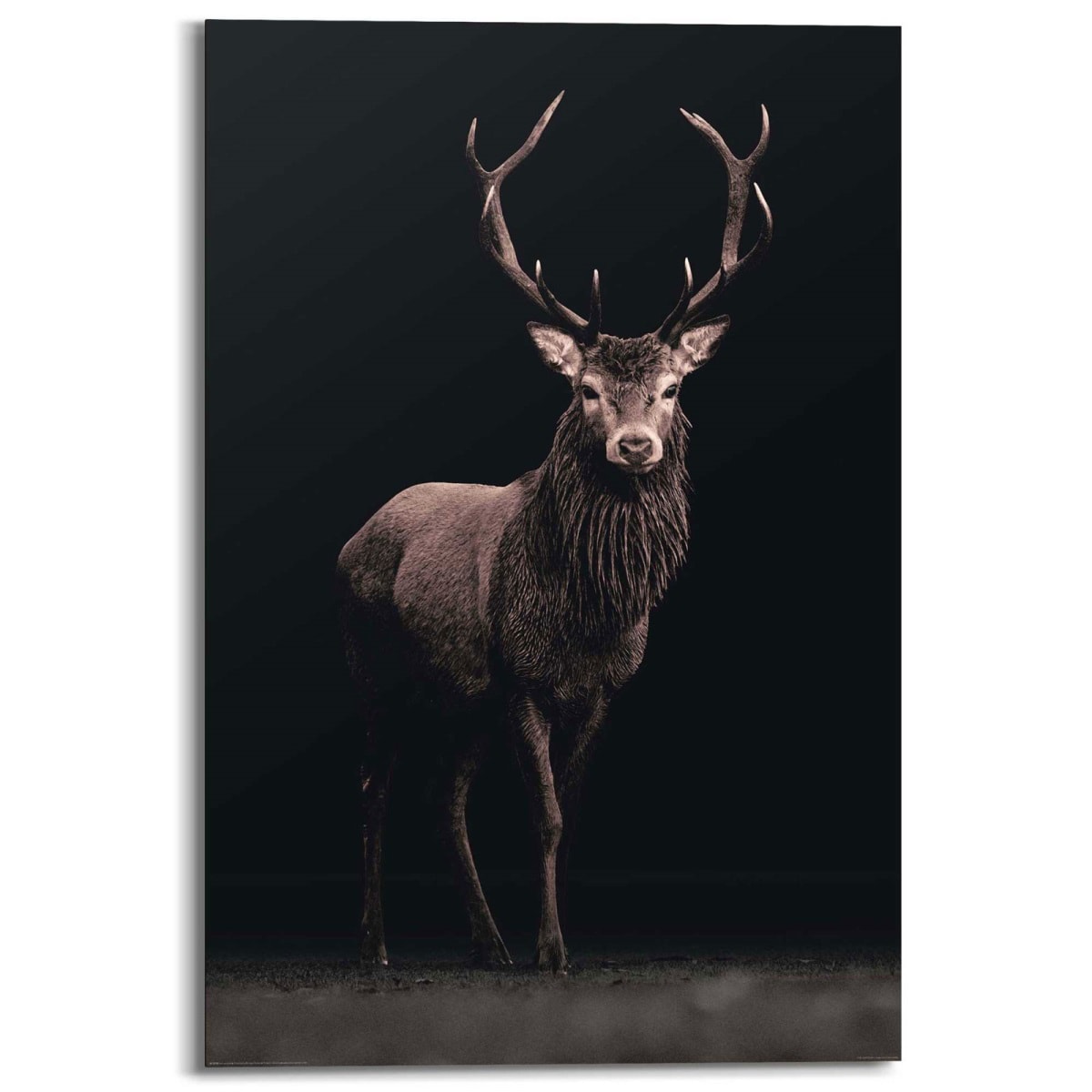 Reinders! Wandbild 60x90 cm Hirsch Sepia Dunkel 60 x 90 cm Dekopanel |  Möbel Boss
